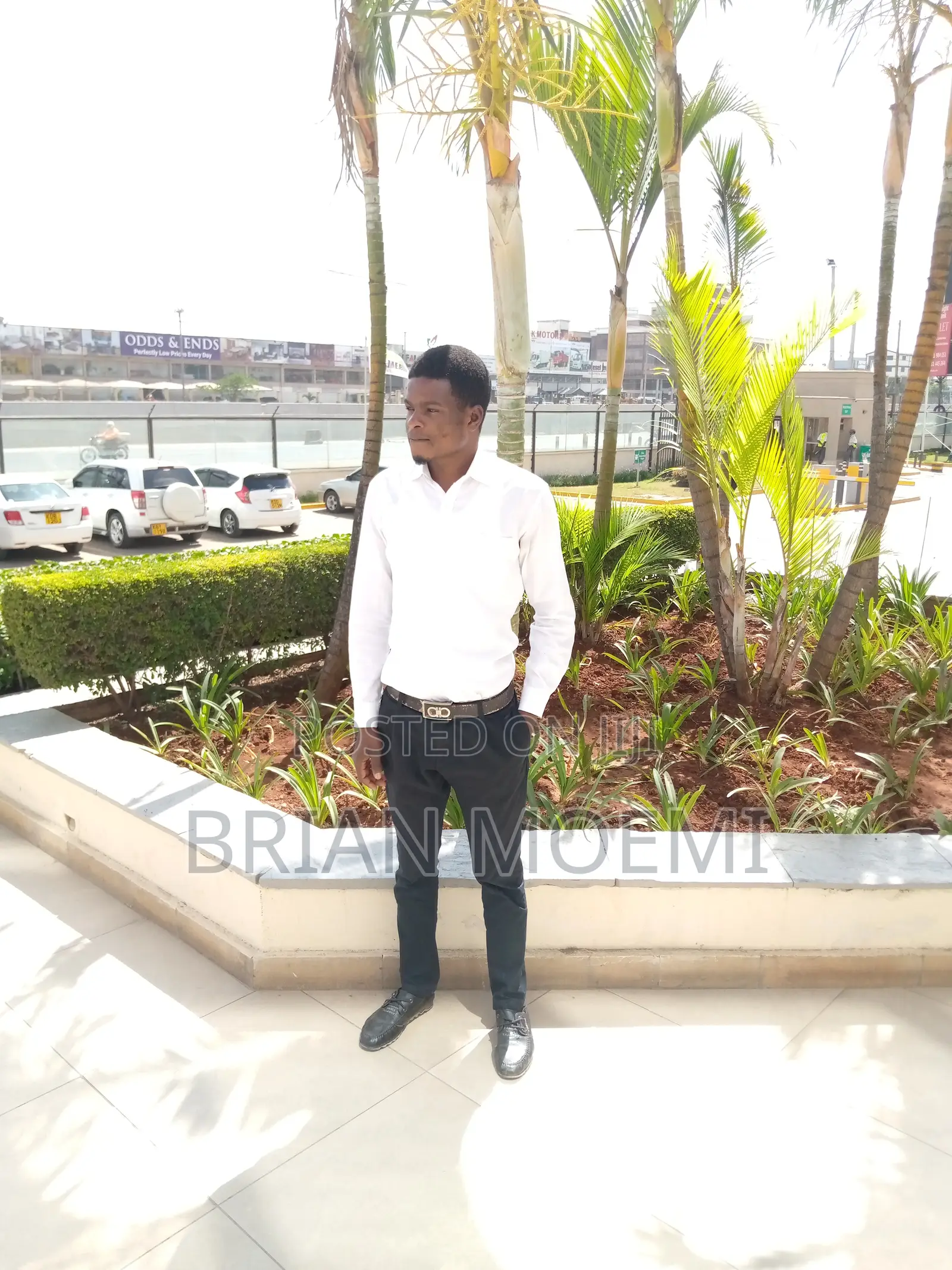 Business Development and Digital Media Sales