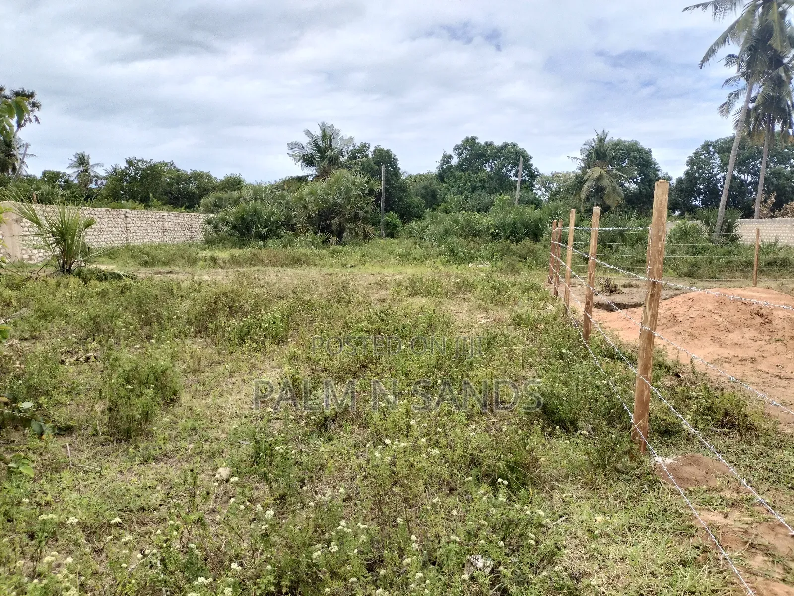 Quarter Acre Plots on a Quick Sale in Kinondo