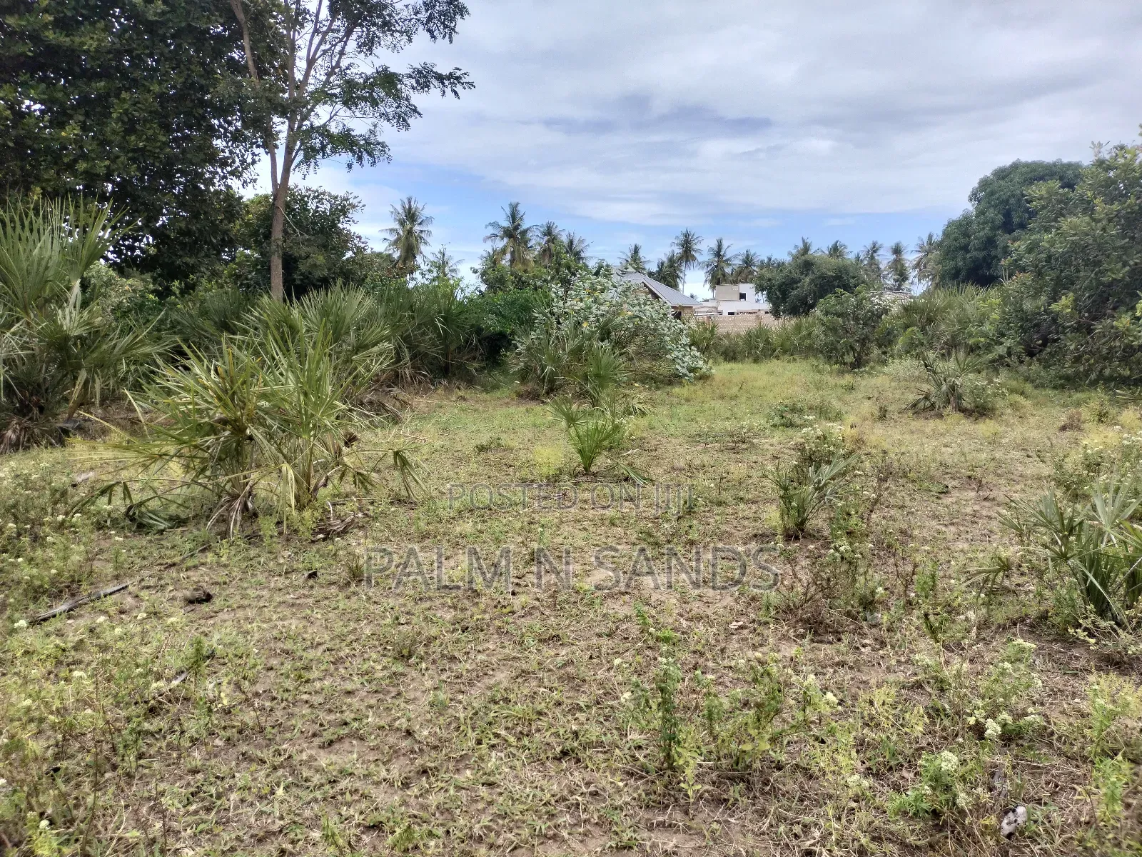 Quarter Acre Plots on a Quick Sale in Kinondo