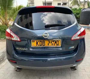 Nissan Murano 2013 Blue