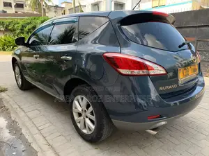 Nissan Murano 2013 Blue