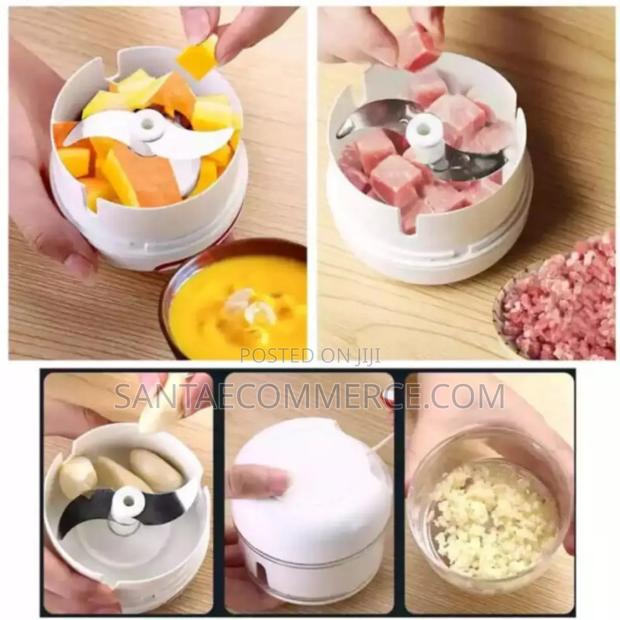 Mini Meat Grinder
