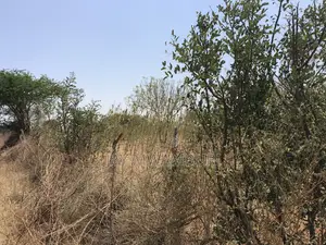 5 Acre Land Makindu