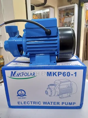 Maxpolar 0.5hp Pump