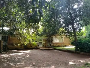 3bdrm Bungalow in 3/4 Bedroom, Karen for rent