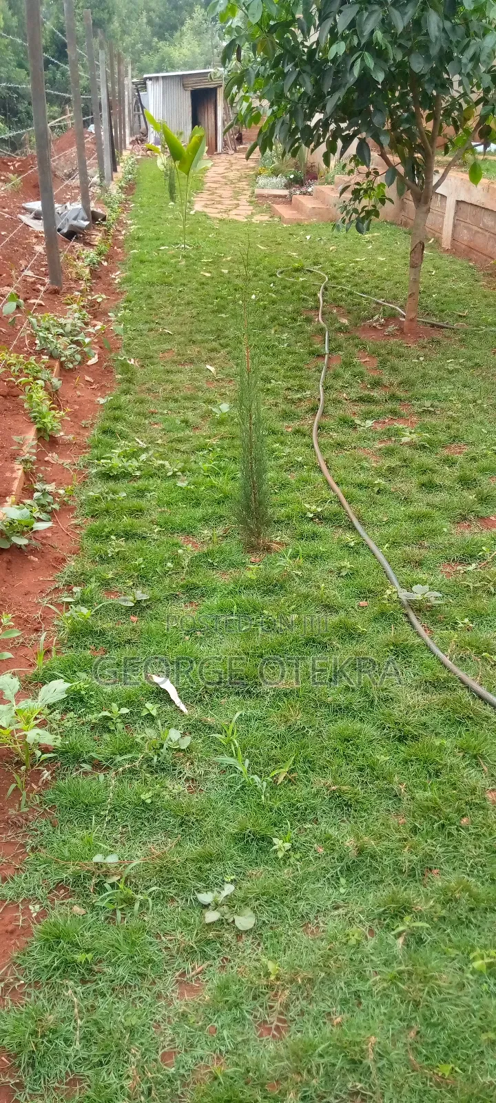 Gardening Services