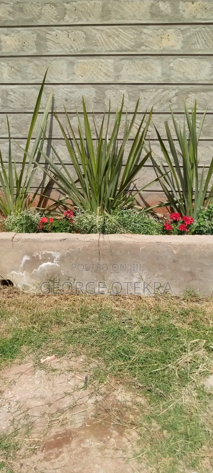 Gardening Services