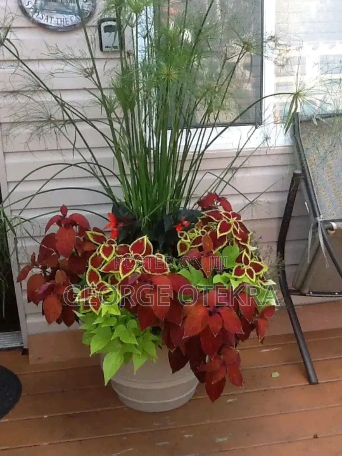 Gardening Services