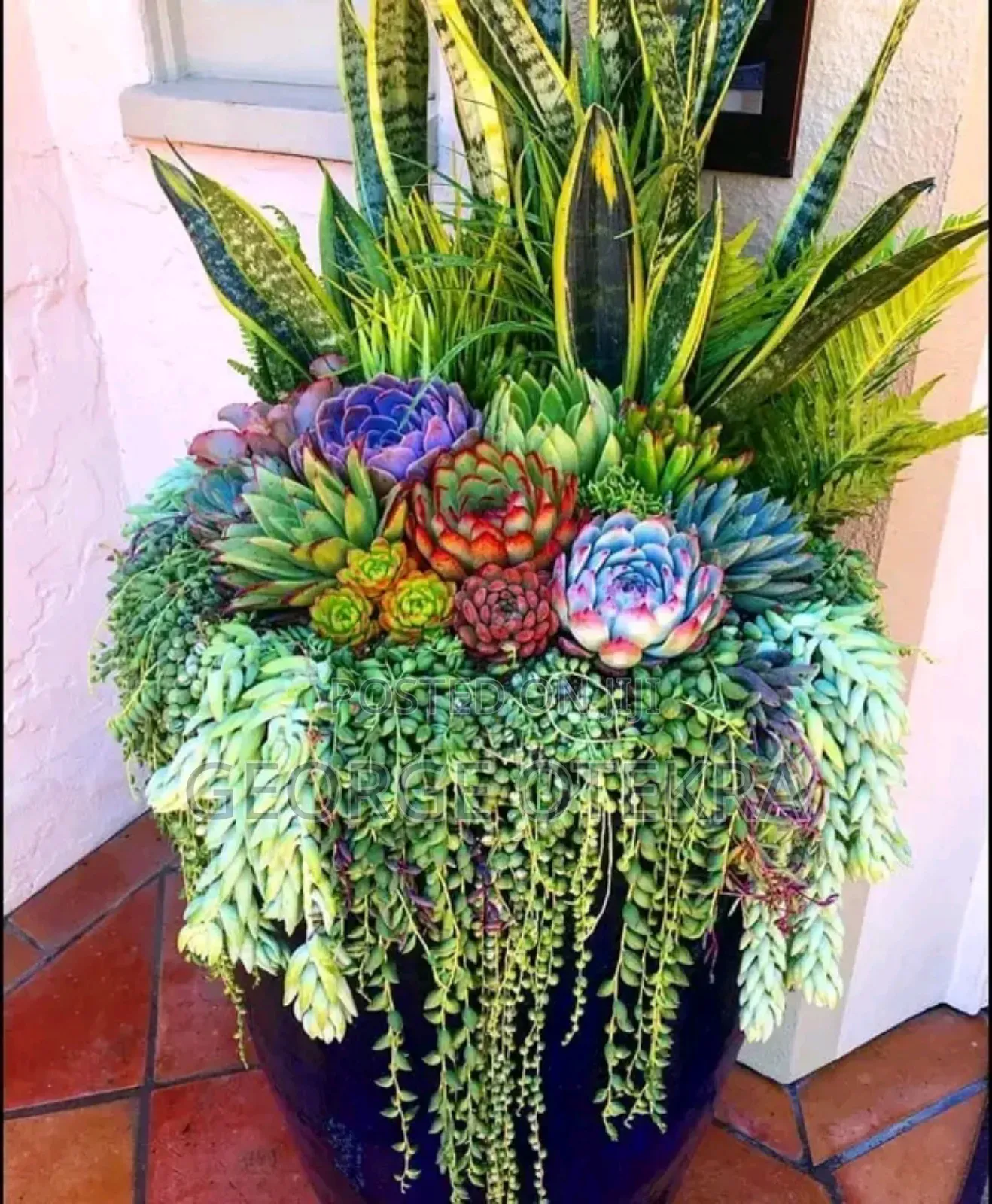 Gardening Services