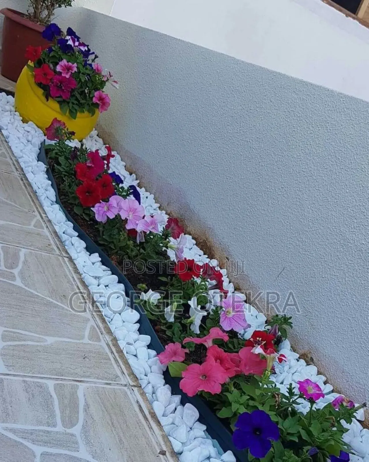 Gardening Services
