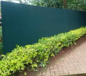 Green Security/Privacy Net