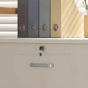 Contemporary Wooden Frame File Cabinet With Storage