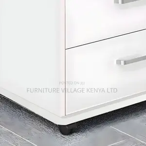 Contemporary Wooden Frame File Cabinet With Storage