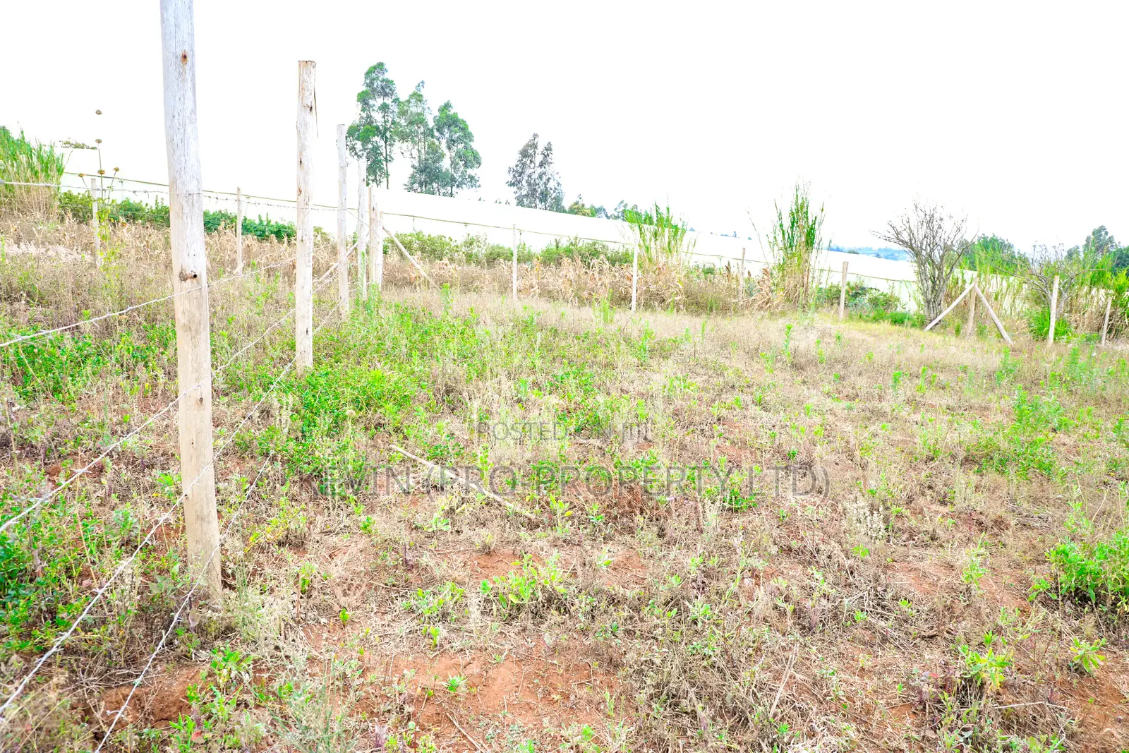 1/8 Acre Residential Plot for Sale in Kikuyu, Kamangu.