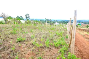 1/8 Acre Residential Plot for Sale in Kikuyu, Kamangu.