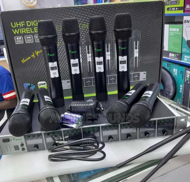 BNK ES600 Professional Wireless Microphones