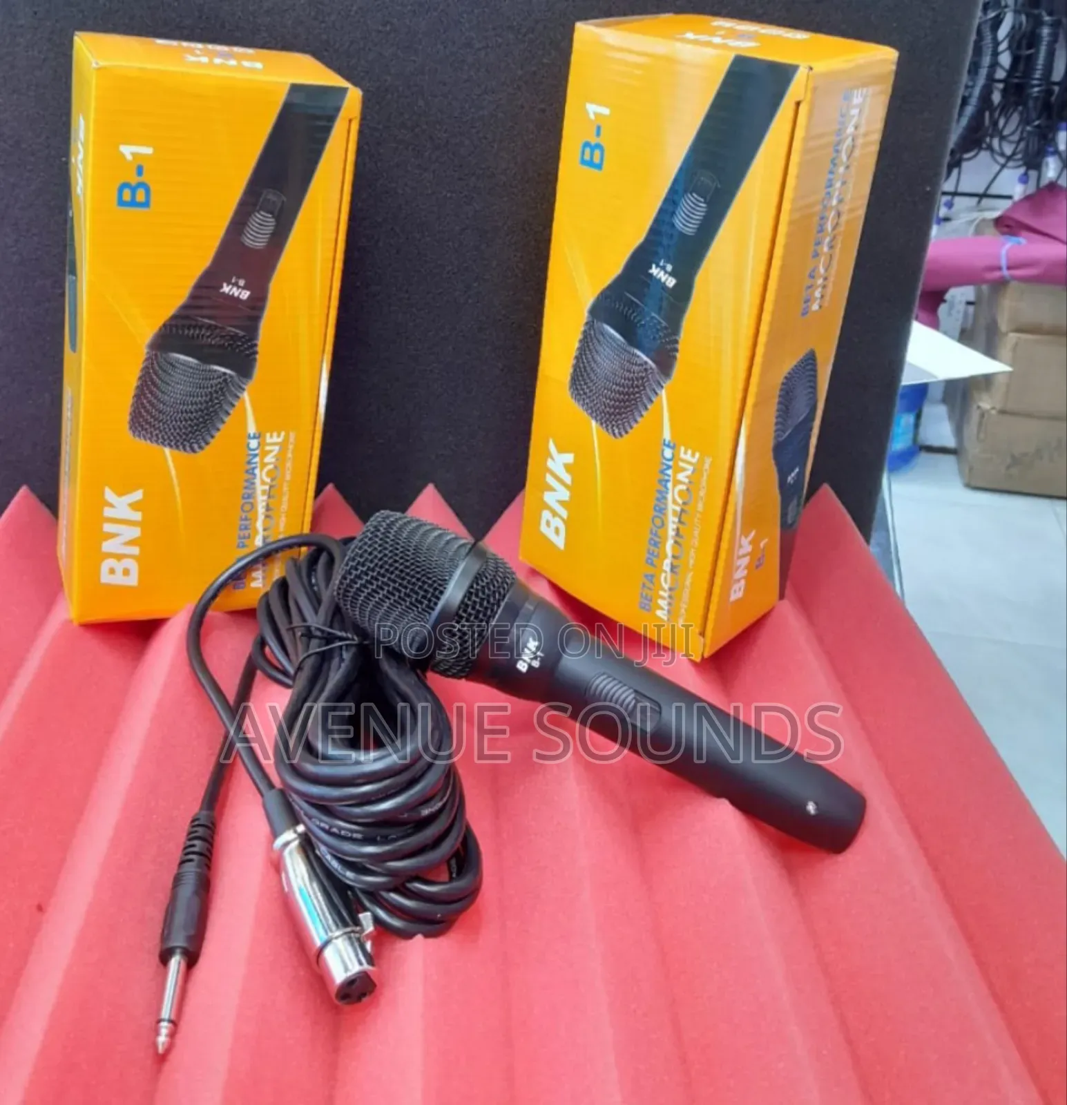 BNK B1 Profesional Wired Microphone