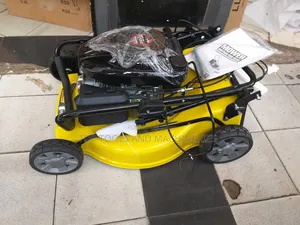 Wasp 21 Inch Self Propelled Gasoline 196cc Lawn Mower