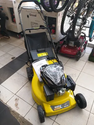 Wasp 21 Inch Self Propelled Gasoline 196cc Lawn Mower