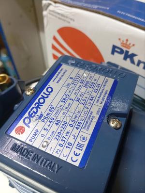 Pedrollo Water Pump 0.5hp - thumbnail 2