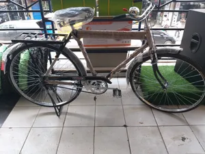 Raja Traditional Adult Bicycle