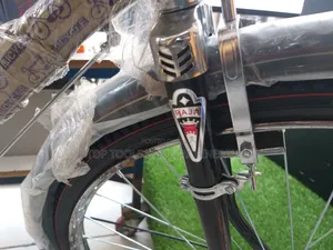 Raja Traditional Adult Bicycle