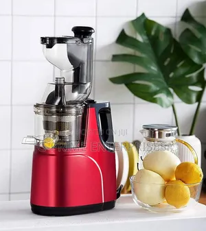 Slow Juicer /Fruit and Vegetable Juicer