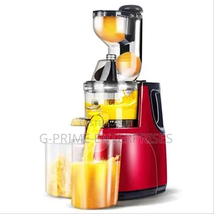 Slow Juicer /Fruit and Vegetable Juicer