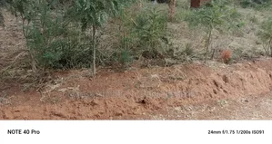 1 Acre at Yaitha, Muumandu