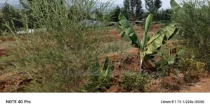 1.5 Acre Piece of Land at Mua, Kateve