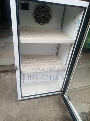 Mini Display Fridge 120L - main view