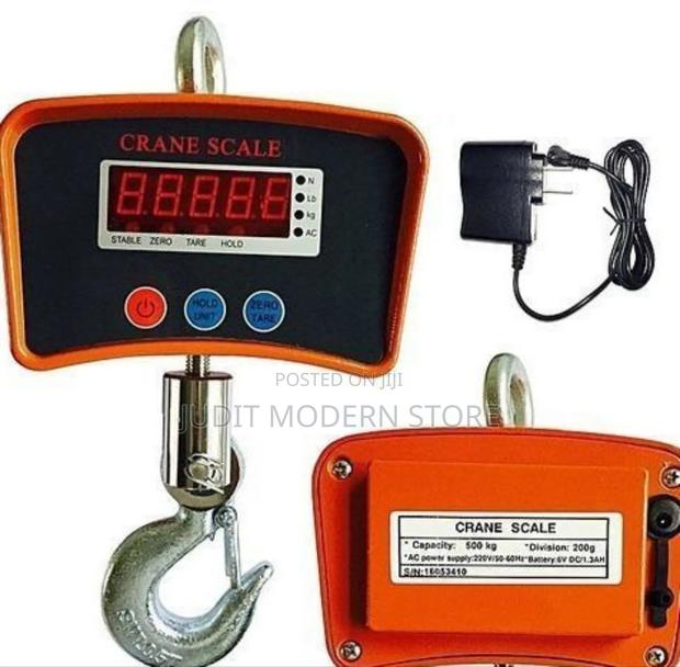 500kg Crane Scale