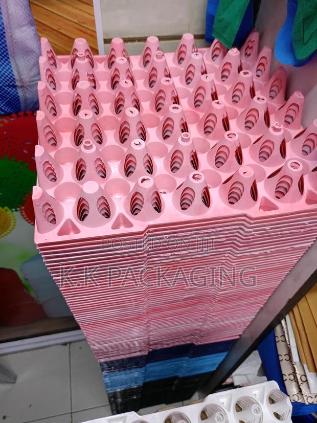Well Ventilated Plastic Trays - thumbnail 2