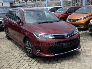 Toyota Corolla Fielder 2018 Burgundy