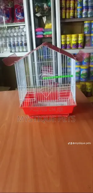 Budgies Birds Cage
