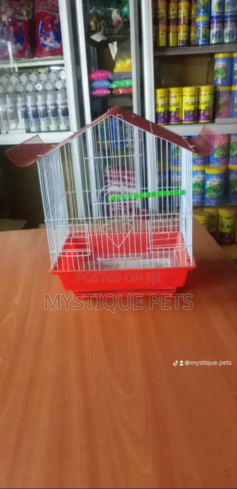 Budgies Birds Cage