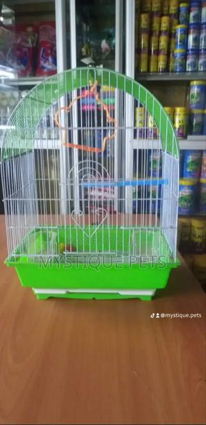 Small Birds Cages - thumbnail 2