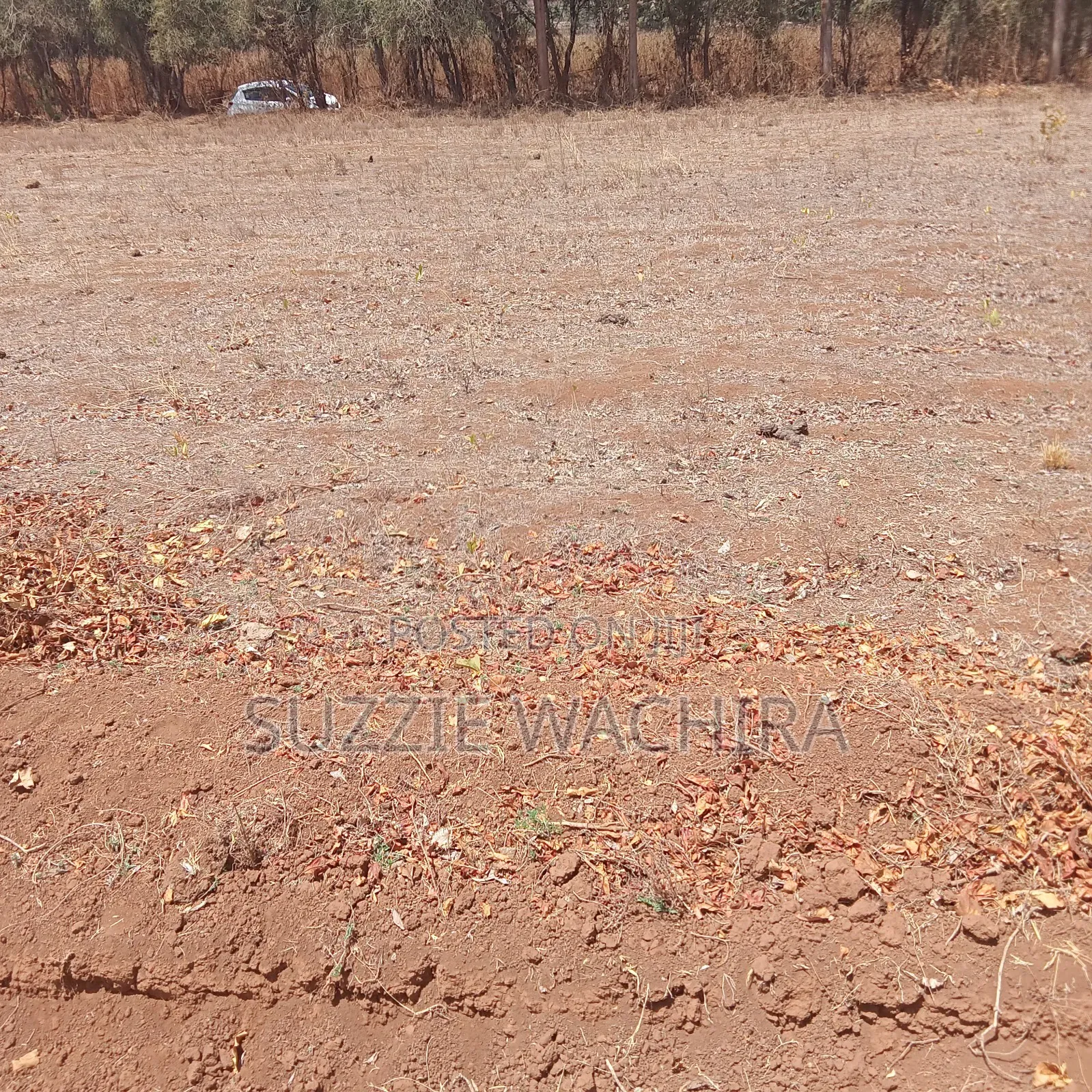 Mwea Makutano 50x100ft Plots for Sale at 950,000 in Wamumu Land & Plots for Sale, Susan