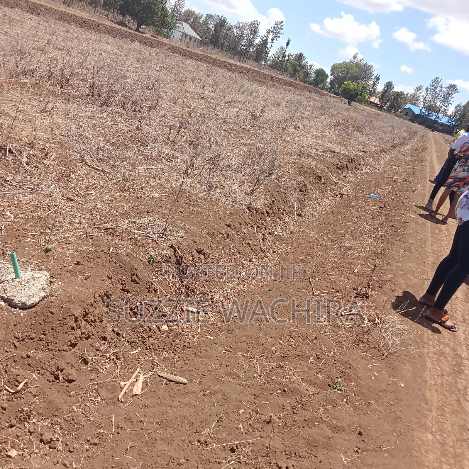 Mwea Makutano 50x100ft Plots for Sale at 950,000 in Wamumu Land & Plots for Sale, Susan