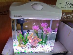 Imported Aquarium - thumbnail 2