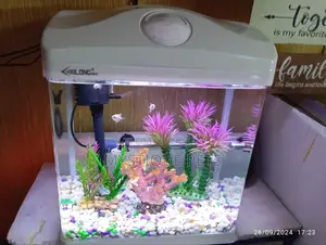 Imported Aquarium
