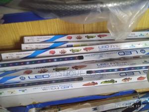 Submassible Light - thumbnail 2