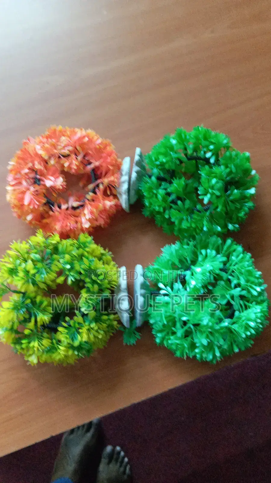 Aquarium Plants