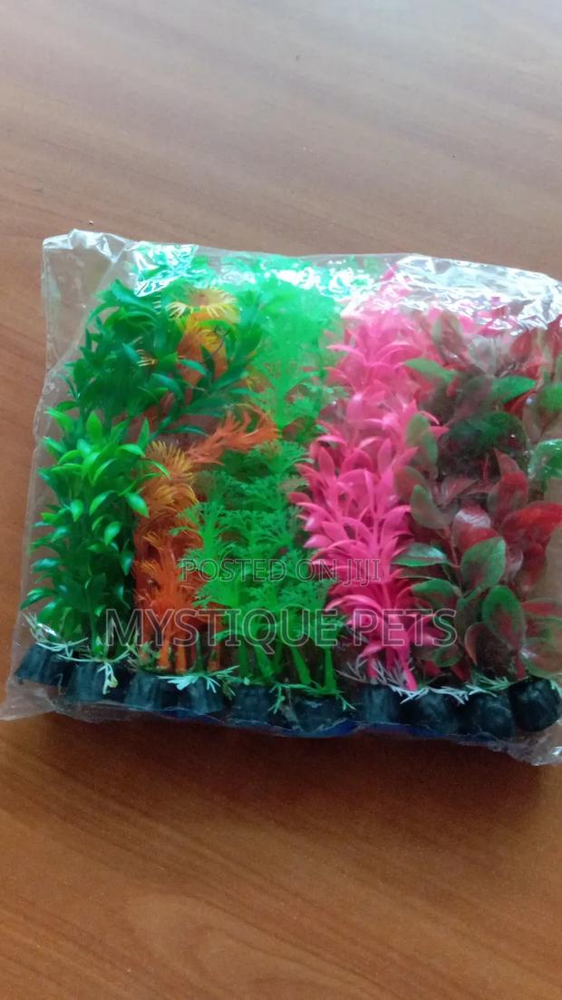 Aquarium Deco - main view