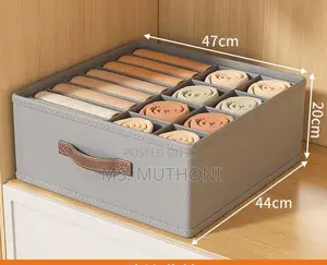 Partitioned Closet Organizer