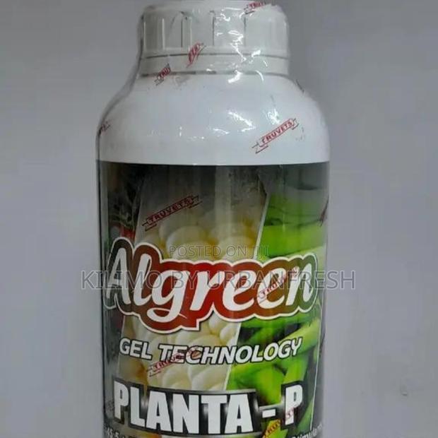 Algreen Planta P (Starter) Fertilizer 5 LTRS - main view