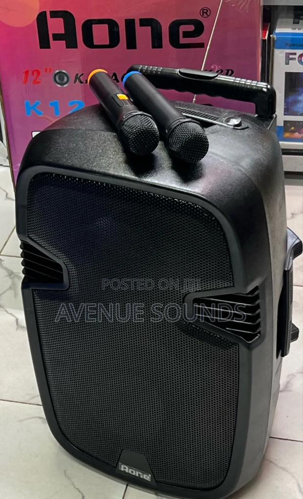 Aone 12 Inch Powered Portable Speaker