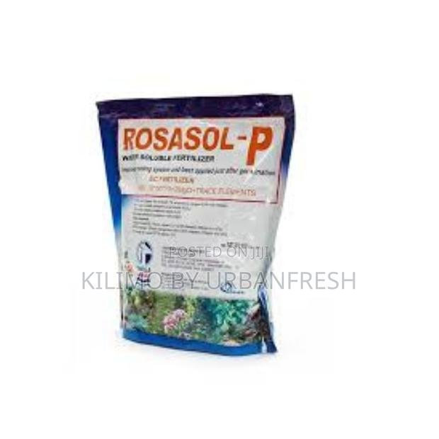 Rosasol P Fertilizer 1 LTR