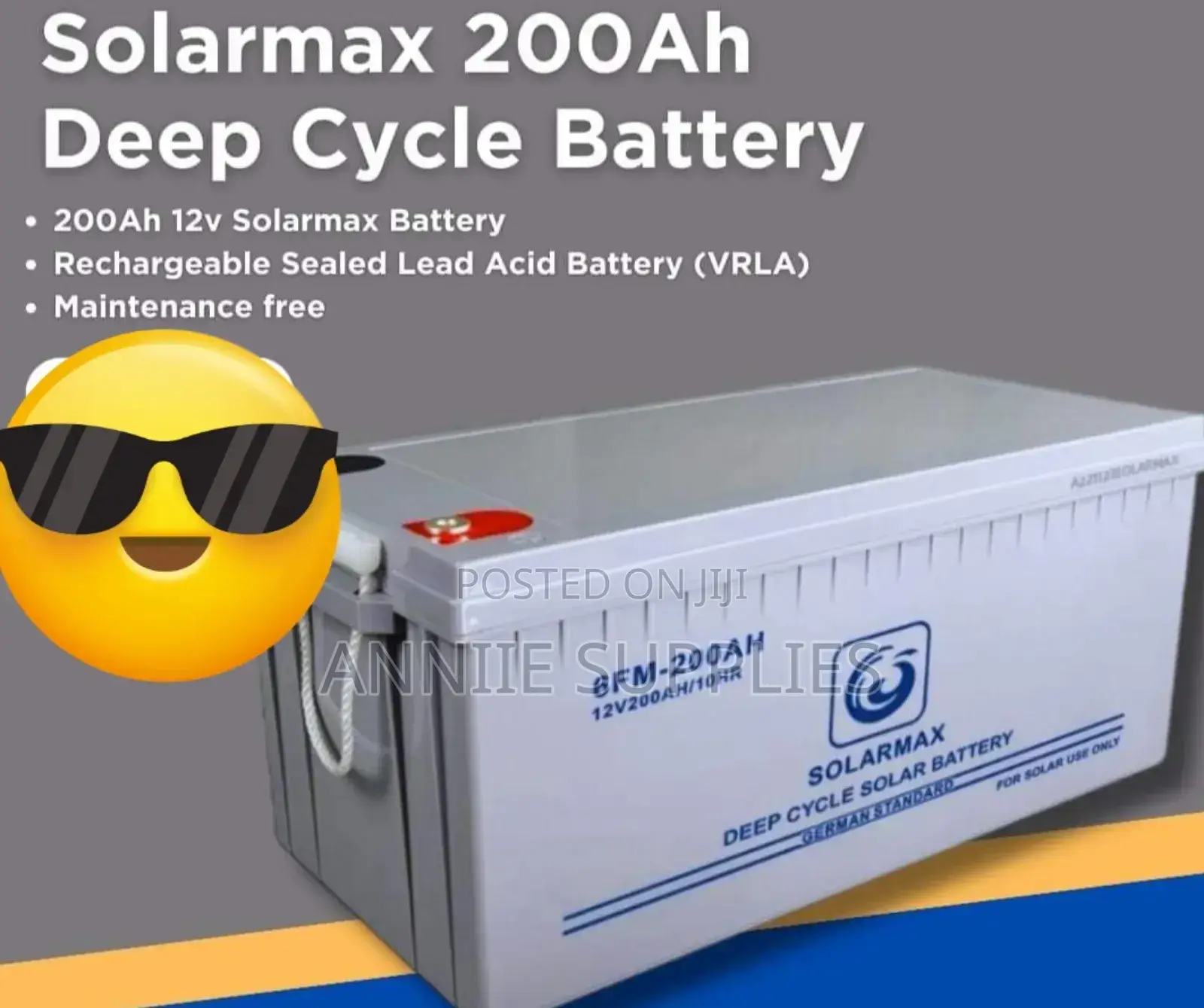 Solarmax 200ah Deep Cycle Solar Battery