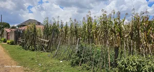 Commercial Plot for Sale Touching Tarmac Kapsoya Eldoret